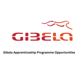 Gibela rail