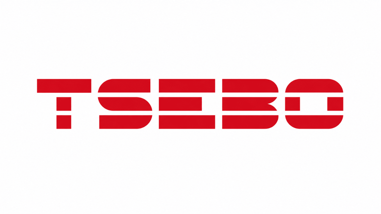 Tsebo Group Multi Skilled Handyman
